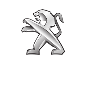 Peugeot Engine Replacement Srvices